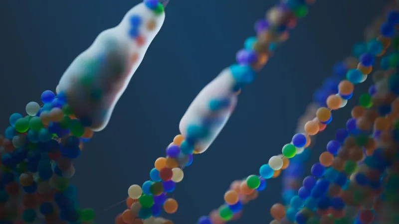 Molecules on Demand: How AI-Driven Protein Science Is Compressing the American Drug Discovery Timeline