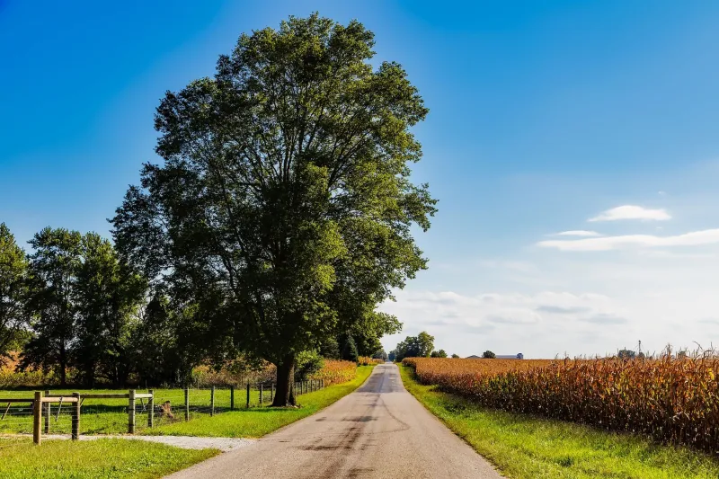 Connected Heartland: How Low-Earth-Orbit Startups Are Rewriting Rural America's Economic Story
